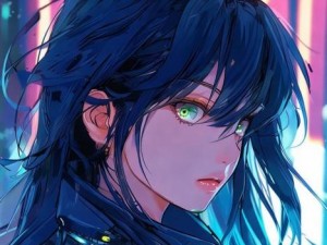 JAPONENSISJAVA1080 MV;探索JAPONENSISJAVA1080 MV的独特魅力与应用前景分析