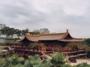2023年国产手机视频拍摄能力大比拼 哪款手机最值得拥有