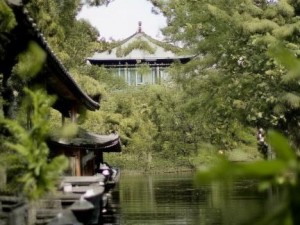 雷电将军狂飙高清壁纸合集 精美图赏尽在此处等你来探索
