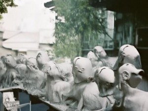 炮姐视频中的背景音乐解析与推荐，带你领略音效魅力
