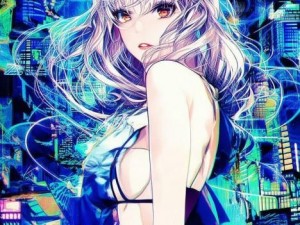 二、网络文化的复杂性