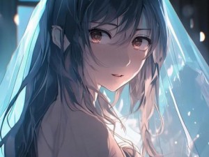 揭开神秘面纱，一场不容错过的视频之旅