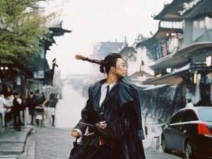 佣者领域百度百科;佣者领域的定义与发展历程探讨及其在现代社会的应用分析