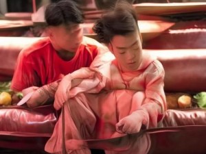 国产无人区一码二码三码的区别解析与应用探讨