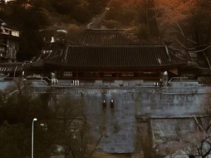 镜中花水中月 王者荣耀女英雄镜的魅力与战斗之道解析