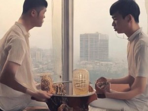 精东影视传媒制作：引领潮流的影视创作新纪元与无限可能