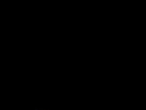《云缨的欢迎会》——北北北砂、[bbbs]云缨的欢迎会china