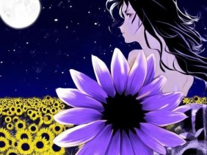夜空下向日葵绽放 紫阳花悄然凋谢的瞬间