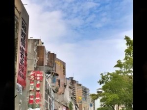 沉默年代汉化版下载攻略与资源分享，畅享沉浸式游戏体验