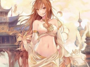 金刚杵直入莲花宫阅读(金刚杵莲花宫 什么意思)