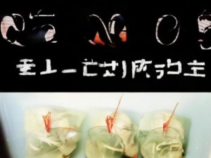 cf挂教程-轻松掌握CF挂教程技巧，助你游戏更畅快的秘籍分享