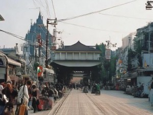 人文艺术之美在镜头下绽放探索人与自然的和谐交融