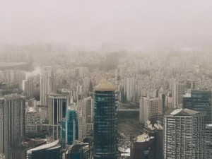 欧美动物交视频，科学与伦理的边界