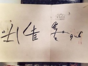 域名紧急更新自动跳转的实现方法与技巧探讨