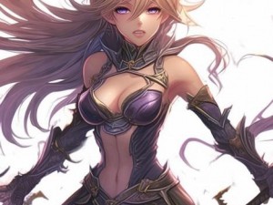 tbc2.43战斗贼输出手法;wow3.35战斗贼