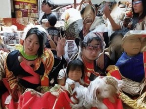 探索9I免费版浏览器的便捷功能与使用技巧助你畅游网络世界