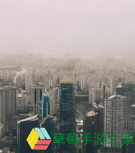 欧美动物交视频，科学与伦理的边界