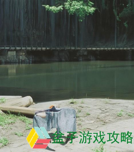希露薇的乳液使用攻略与心得分享助你完美护肤之路
