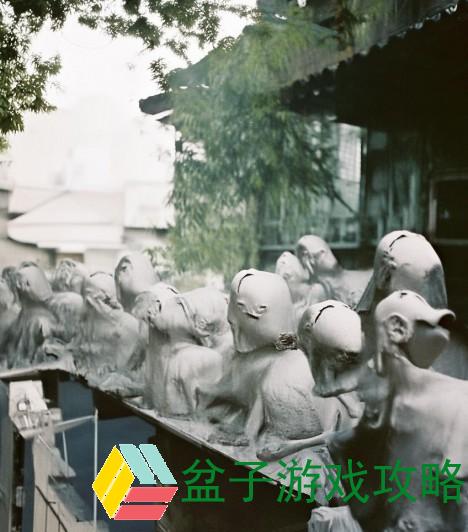 炮姐视频中的背景音乐解析与推荐，带你领略音效魅力