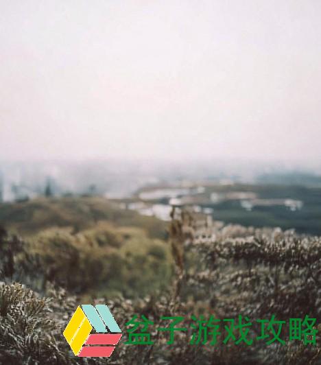 高考临近，宾馆热销，考生住宿攻略与推荐，助力学子顺利备考