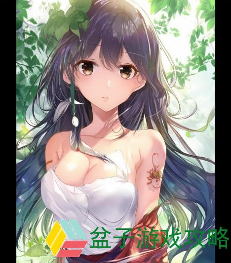 岳婿合体十章后续篇章探寻原著未尽之美