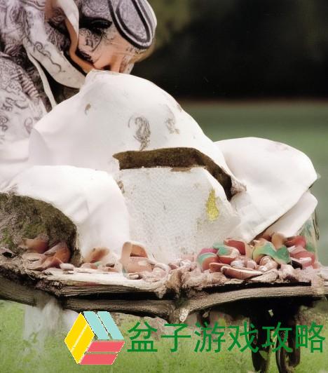 中国高清WINDOWS视频亮点全解析，畅享极致视觉盛宴与精彩内容体验