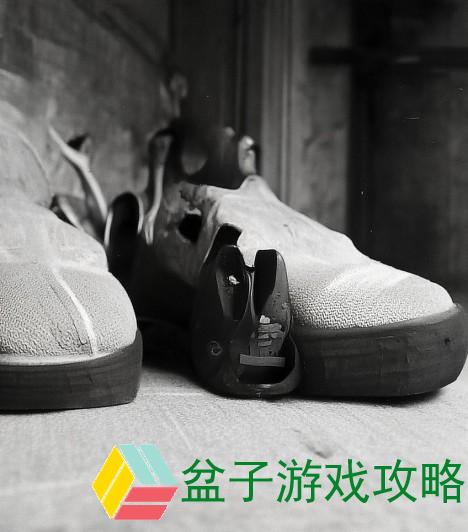 八重神子被焯出白水后该如何应对和处理的全面指南