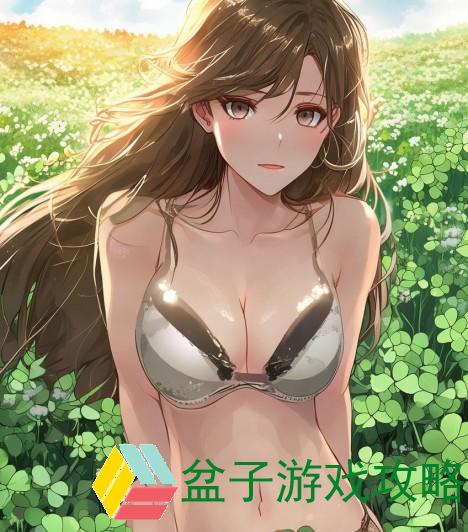 四叶草M码与欧洲码的区别解析与对比详解