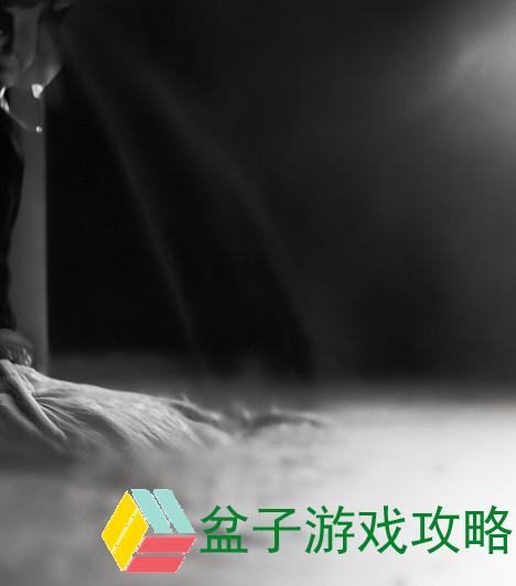 公孙离夏日皮肤，炽烈光影下的仙侠魅力
