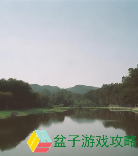 王者亚运会参赛选手-王者亚运会选手荣耀之路展现电竞新风采