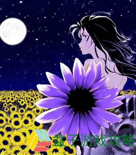 夜空下向日葵绽放 紫阳花悄然凋谢的瞬间