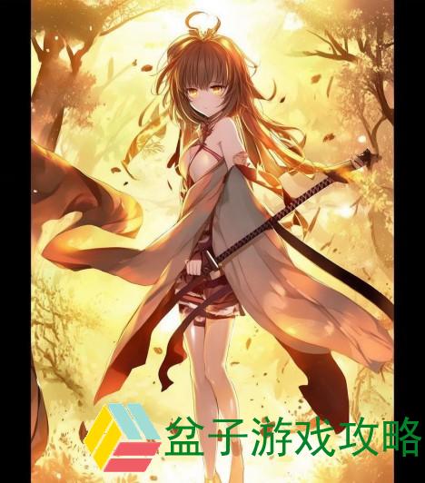 无双大蛇Z中服部半藏的传奇之路与战斗智慧探秘