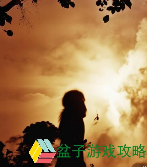 无码中文字幕在线播放，探索与体验