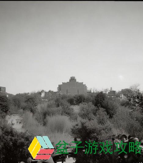 国产V片在线播放免费无码，热点话题探讨