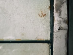 基于所提供的网址和您的要求，我将为您拟定一个标题并撰写一篇关于该网址的视频内容的文章。以下是我的建议