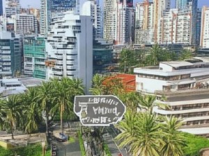 美国vps租用-美国VPS租用全攻略 轻松搭建高效服务器环境