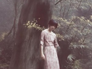 畅游海棠小说官网入口免费阅读海量精彩作品尽在指尖体验文学魅力