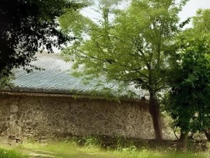 公孙离绝美风华展现无遗 以王者荣耀中的娇姿曼影为灵感