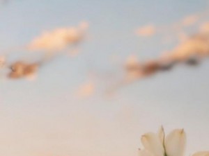黄油手游app平台官网-探索黄油手游app官网尽享游戏乐趣与精彩活动的全新体验