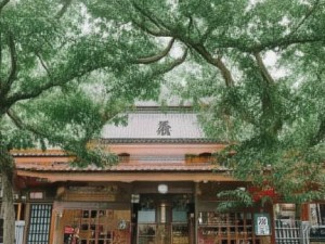 桃花影院电视剧在线播放尽享精彩剧集畅看无阻随时随地沉浸剧情之中