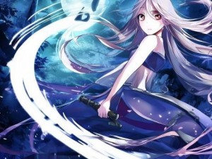流星蝴蝶剑技能解析与实战运用全攻略
