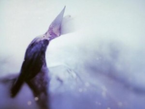 暖暖环游世界攻略少女的心事,暖暖环游世界攻略少女心事的秘密与成长之旅