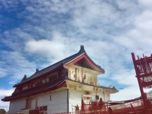 浪花一阵接一阵地涌了过来的仿写句、一阵浪花对吗一什么浪花
