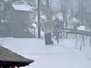 红桃免费观看高清电视剧墨雨云间畅享视听盛宴与精彩剧情体验