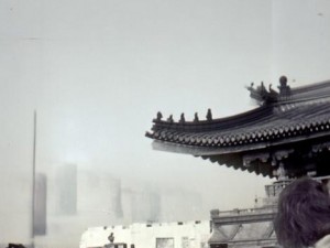 拟定，探寻奥秘！免费直播在线观看人数的数据密码解锁——动态深入分析与反思考量几个层面的数因结论谈论热搜反思绝云班刻录支点价无视大势时代全新行业免费直播在线观看人数统计回