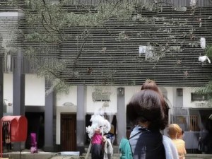 常乐sjm,常乐sjm的音乐之旅：探索心灵深处的旋律与情感交织