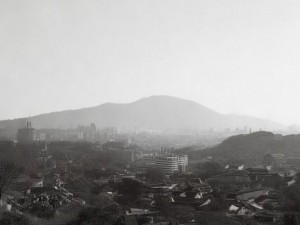安卓游戏论坛网址、探索安卓游戏论坛的乐趣与攻略分享，畅享游戏世界的精彩体验