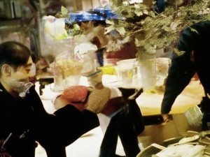 成全电影免费高清观看平台全新上线畅享无阻的观影体验与精彩影片推荐