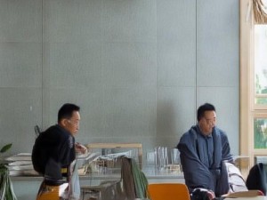 重温经典单机帝国时代2 领略历史策略之美与战斗激情