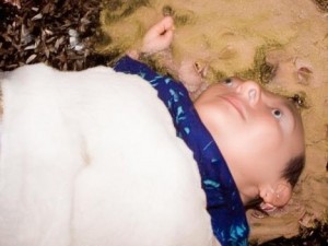 畅享无阻24小时免费观看B站直播的全新软件体验